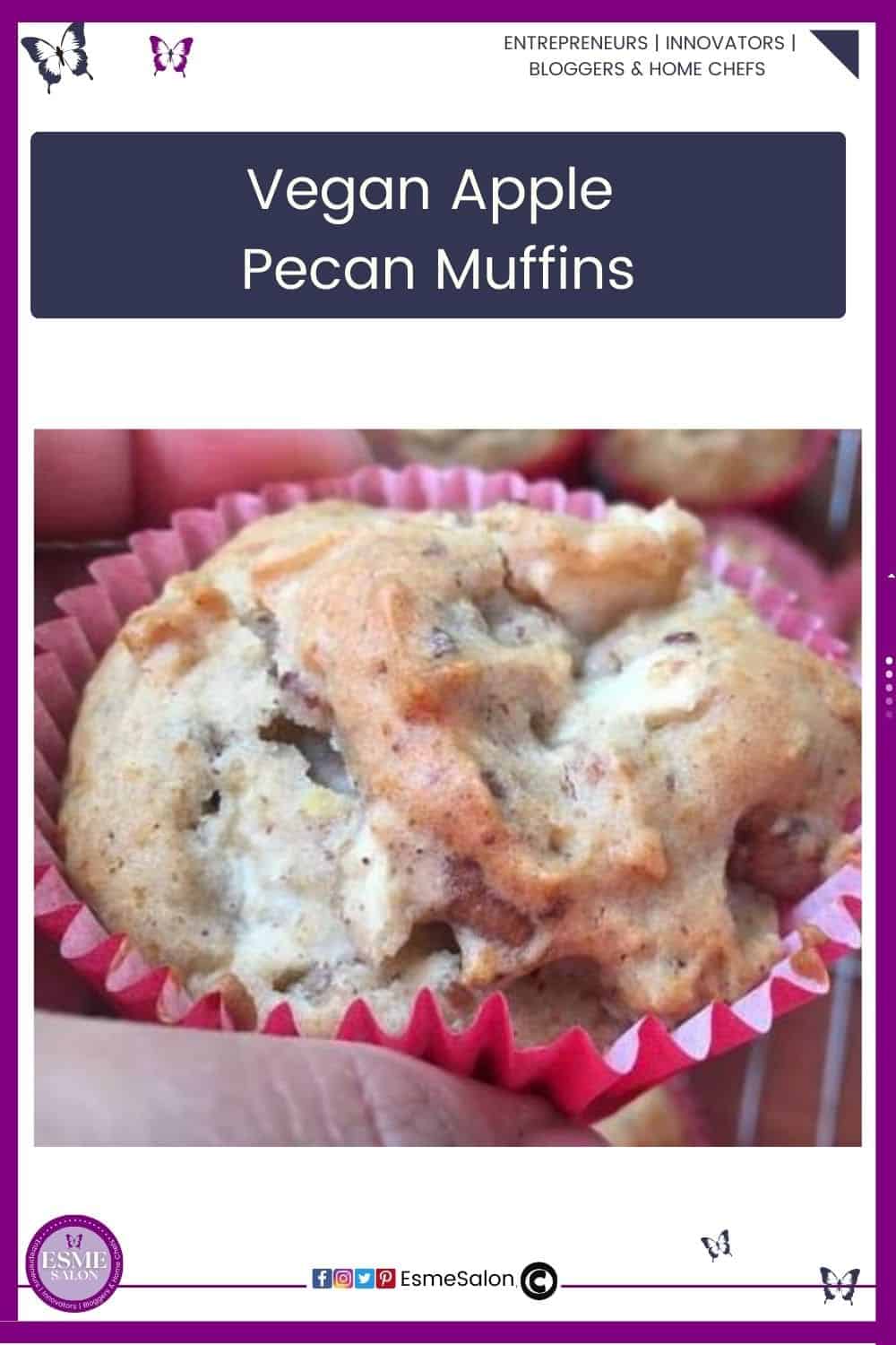 an image of a single muffin in a pink cupcake holder studded with Pecans