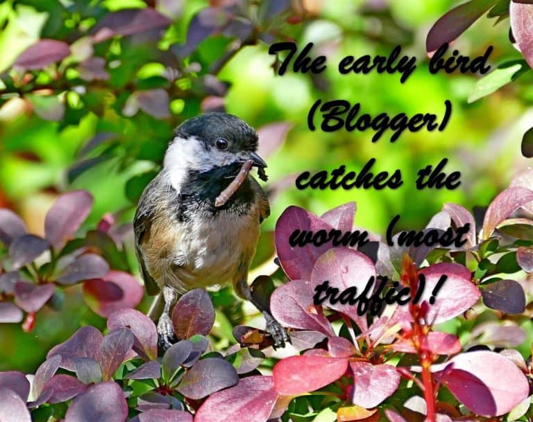 The early bird (Blogger) catches the worm (most traffic)!