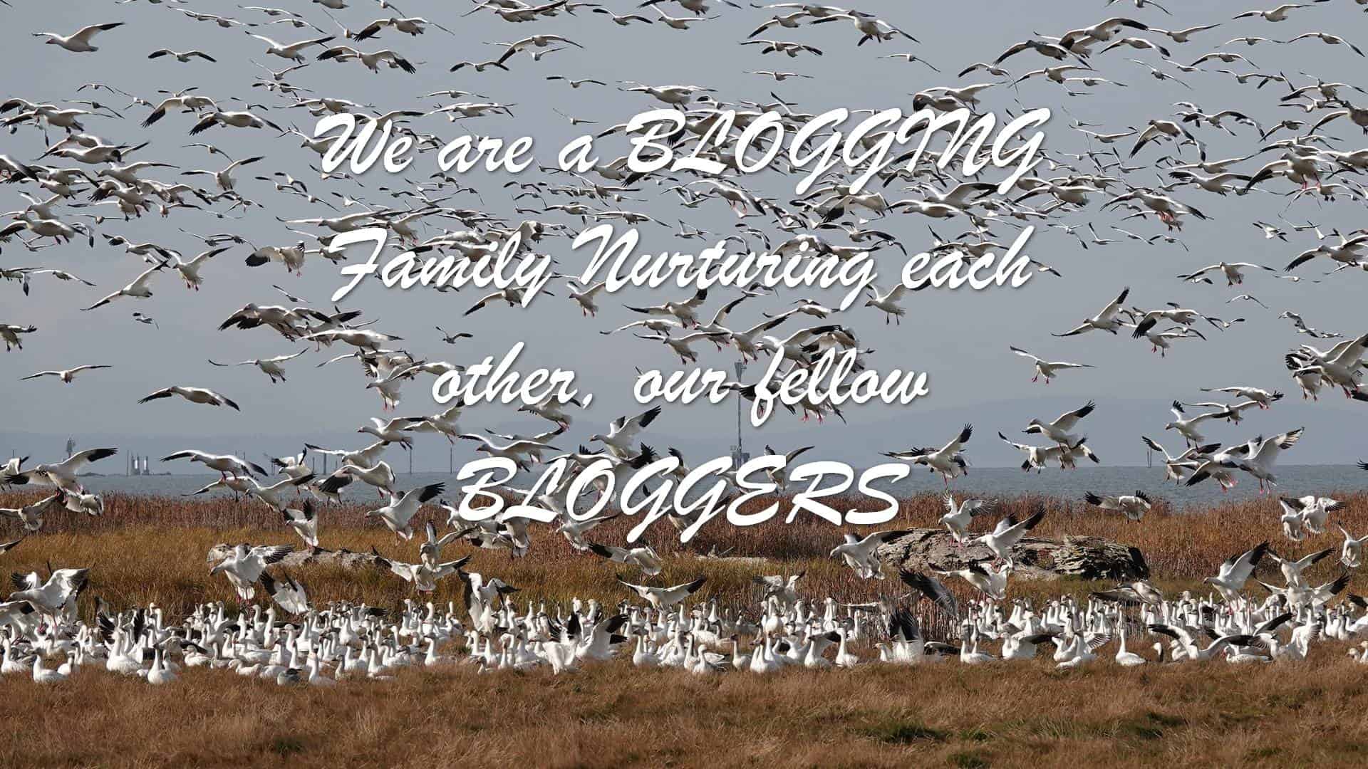 We are a BLOGGING Family Nurturing each other, our fellow BLOGGERS