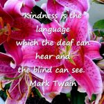 Kindness is the language which the deaf can hear and the blind can see.