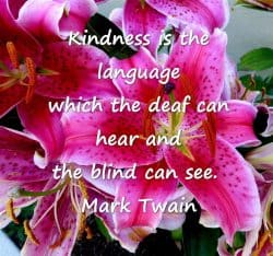 Kindness is the language which the deaf can hear and the blind can see.