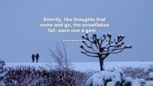 Two strollers in the snow