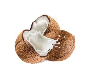 Broken open Coconut with milk spilling out