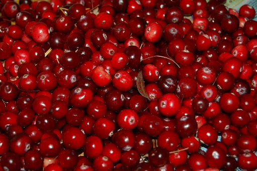 A tub full of Cranberries