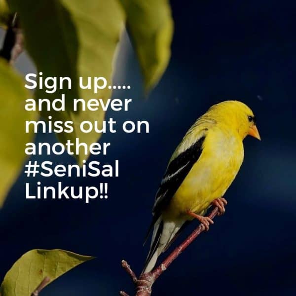 Yellow bird calling you to sign up for #Senisal Linkups