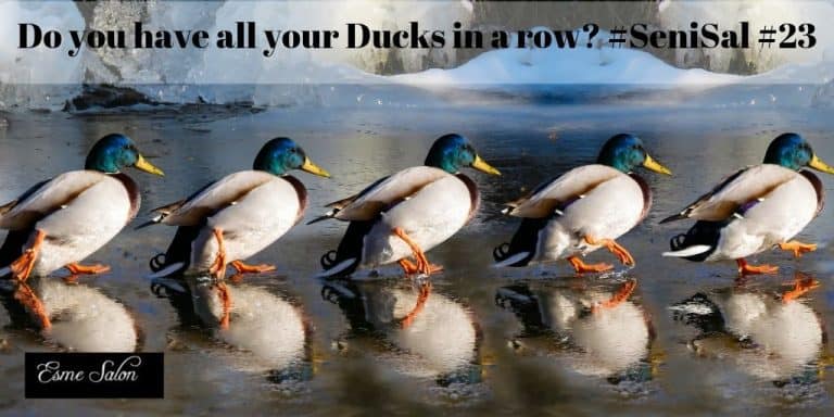 Ducks walking in a row