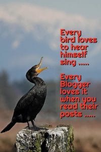 A cormorant on a wooden block singing