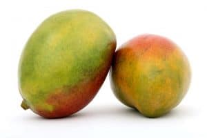 Two green mangoes