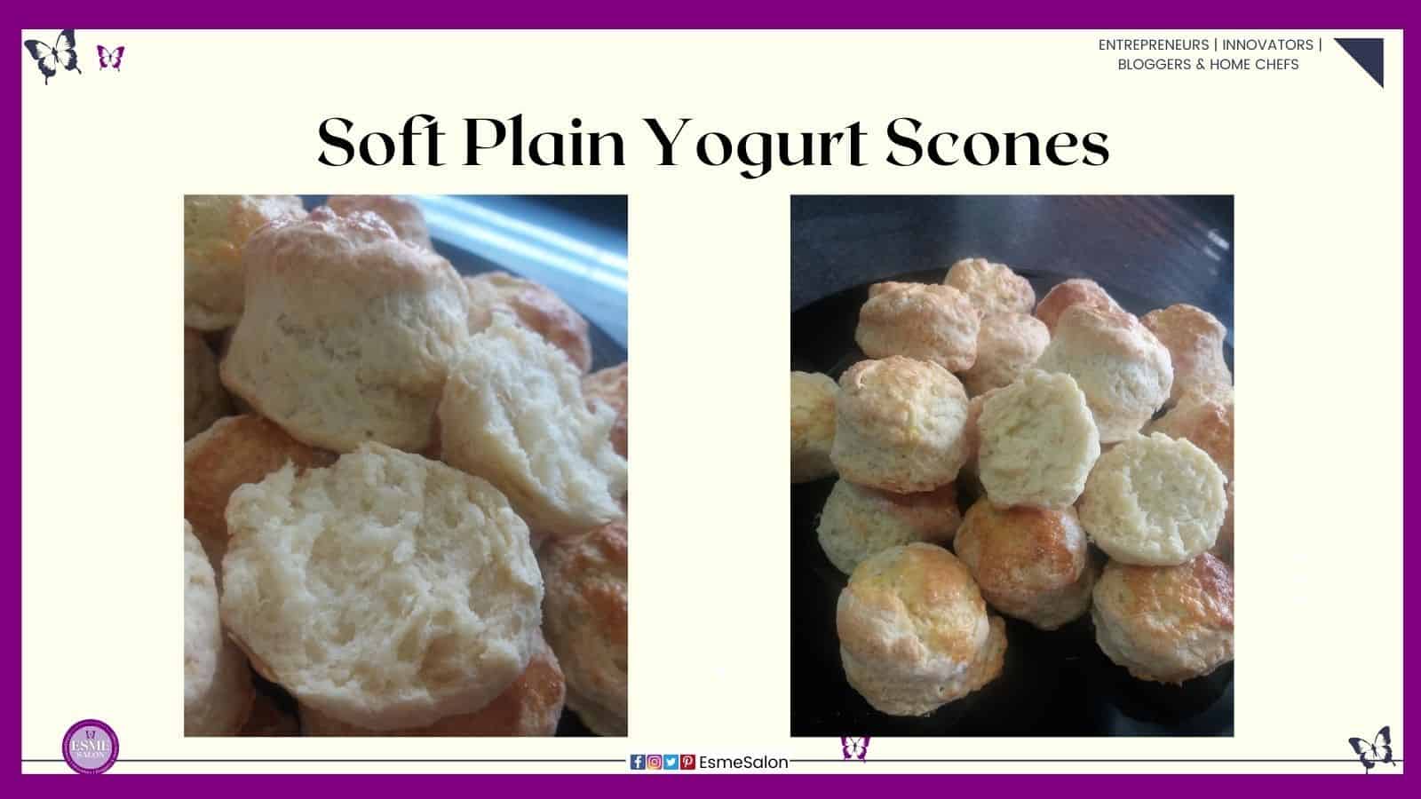 an image of a plate filled with Soft Plain Yogurt Scones