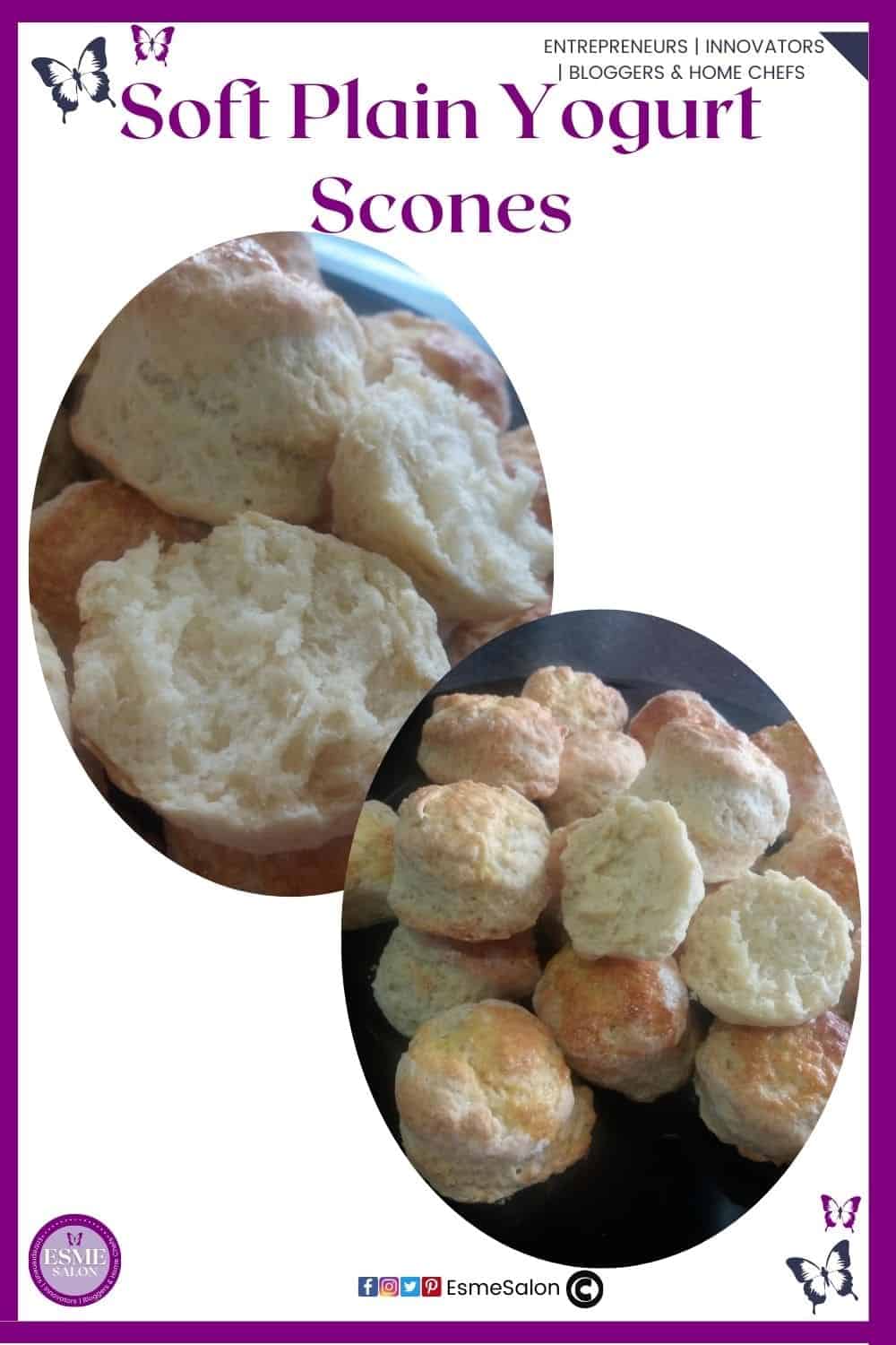 an image of a plate filled with Soft Plain Yogurt Scones