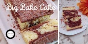 Marbles white and brown cake with melted chocolate over the top.