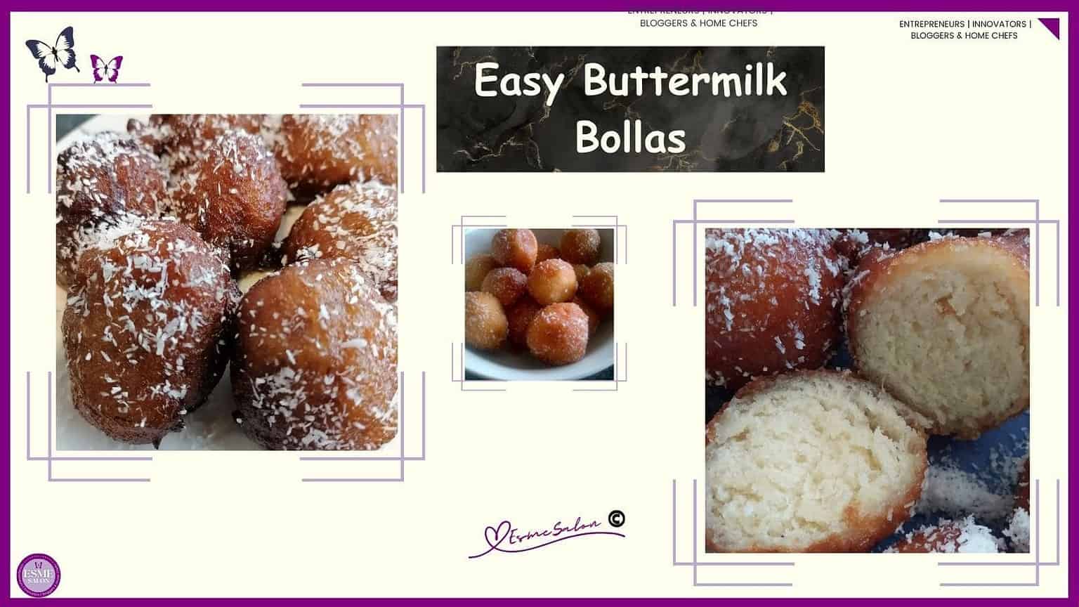 South African Bollas