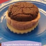 Vegan Gluten-Free Cookies with Nice-cream