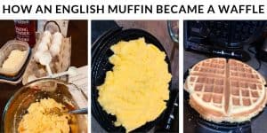 English Muffin