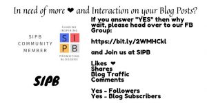 #37 Senior Salon 2019