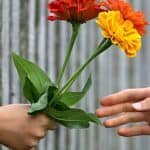 Hand giving flowers to another