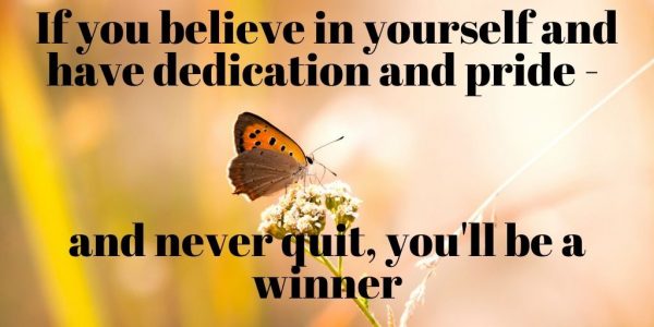 #SeniSal Roundup: Nov 4-8, 2019