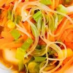 Chicken Noodle Bowl with carrots, celery and chicken