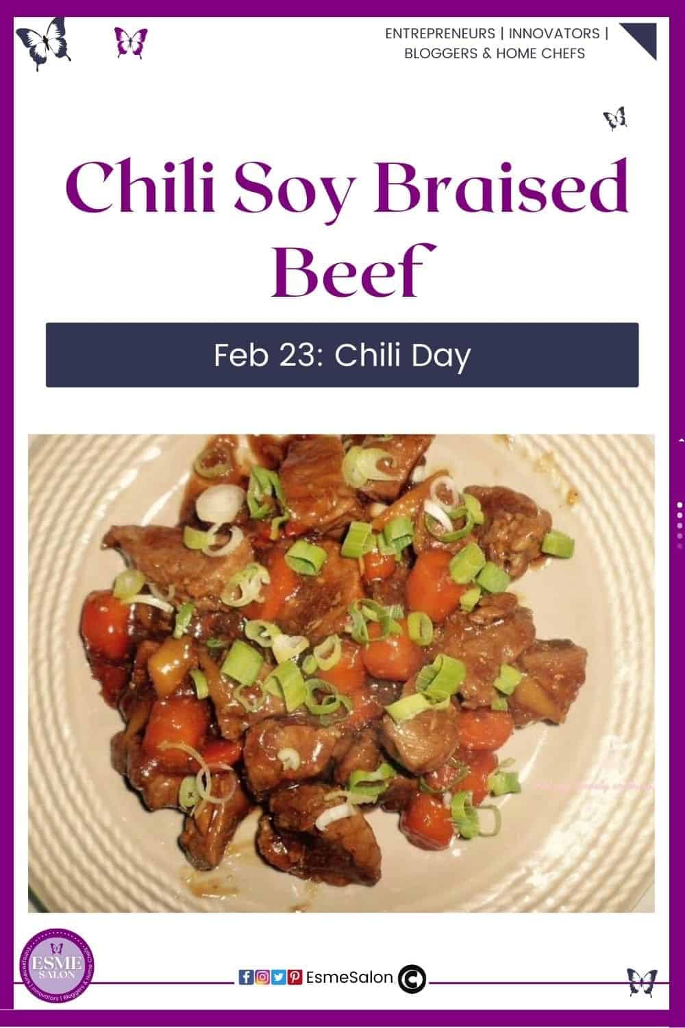an image of Chili Soy Braised Beef done in Slow Cooker