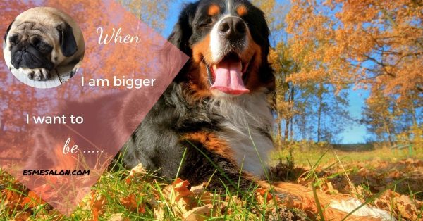A small and bigger dog: When I am bigger I want  to be .......