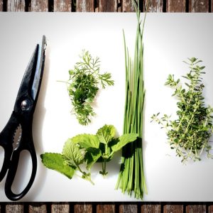 Scissors and fresh herbs on a cutting board