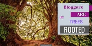 A forest with old brown trees and roots showing on the ground