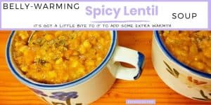 2 Bowls of wholesome Spicy Lentil soup in blue rimmed mugs