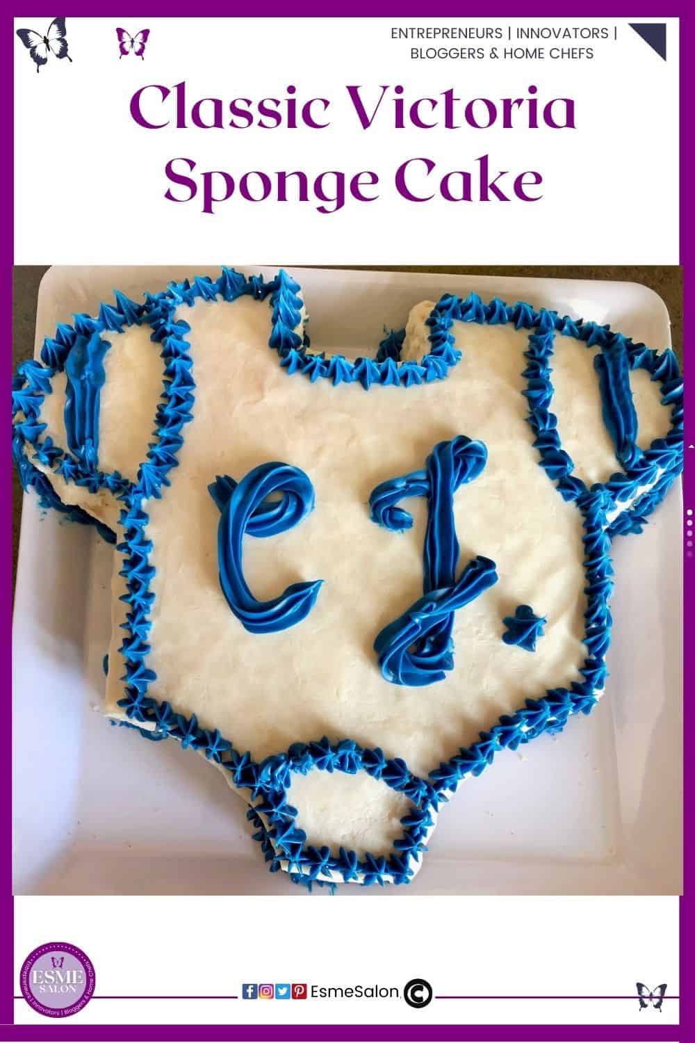 an image of a onesie made from Victoria Sponge Cake, white icing with blue rose piping on the border and the initials C.J.