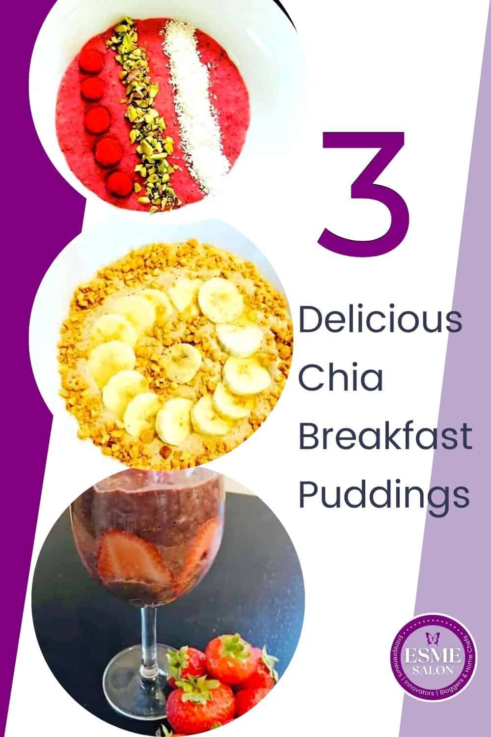 3 bowls of delicious chia breakfast meals