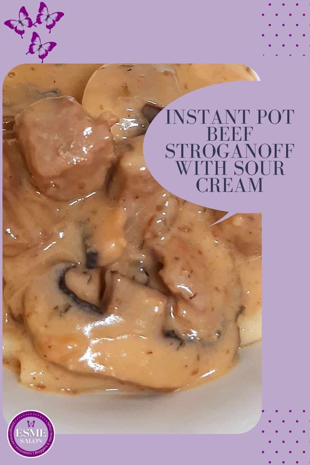 A plate of Instant Pot Beef Stroganoff with Sour Cream