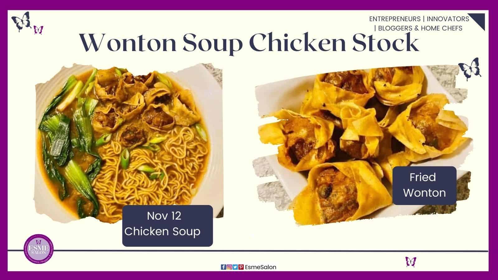 an image of a bowl of Wonton Soup Chicken Stock with green and fried wonton on the side