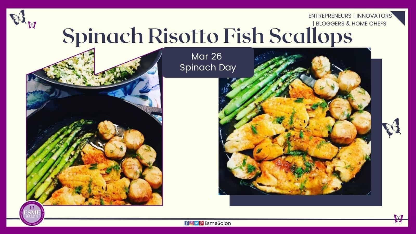 an image of Spinach Risotto Fish Scallops with a side of asparagus