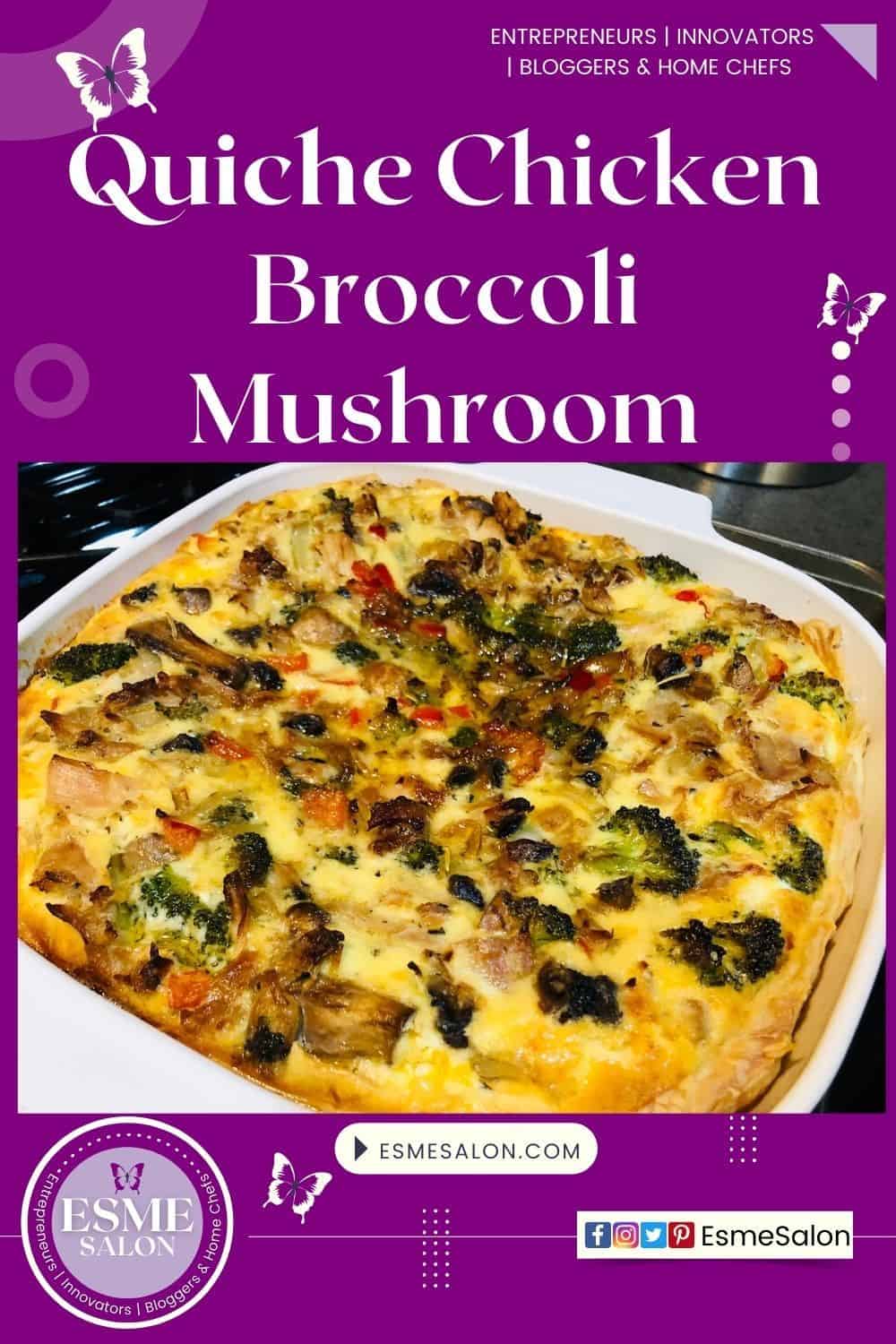 Chicken Broccoli Mushroom Quiche in ready made dough with egg base