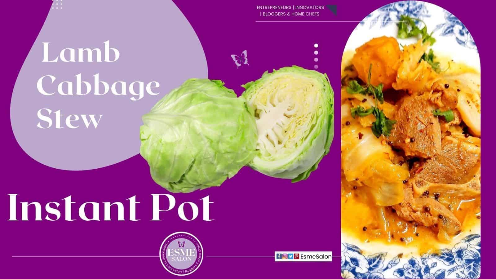 An image of Lamb Cabbage Stew made in an Instant Pot
