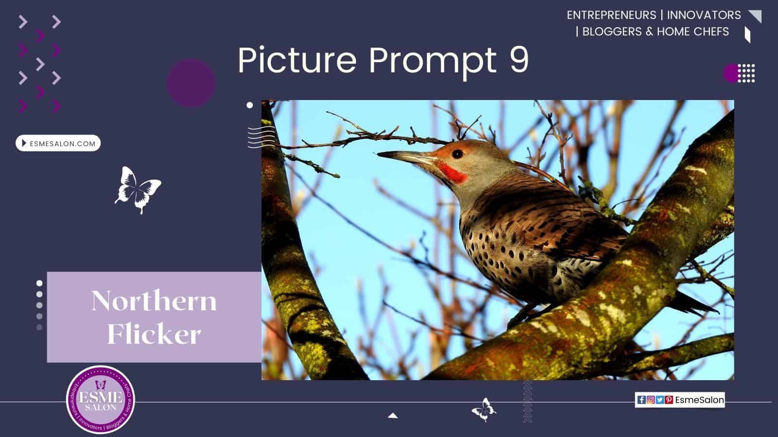 An image of a Northern Flicker Picture Prompt 9