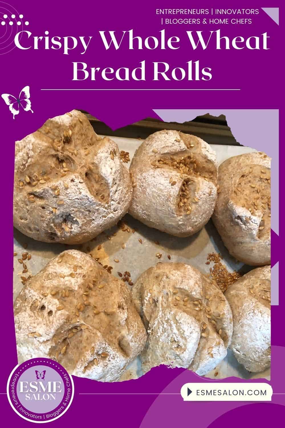 No-Knead Crispy Whole Wheat Bread