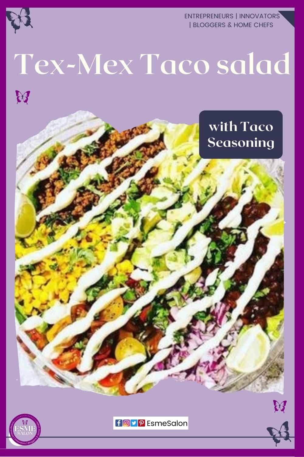 an image of a Tex-Mex Taco Salad with Taco Seasoning