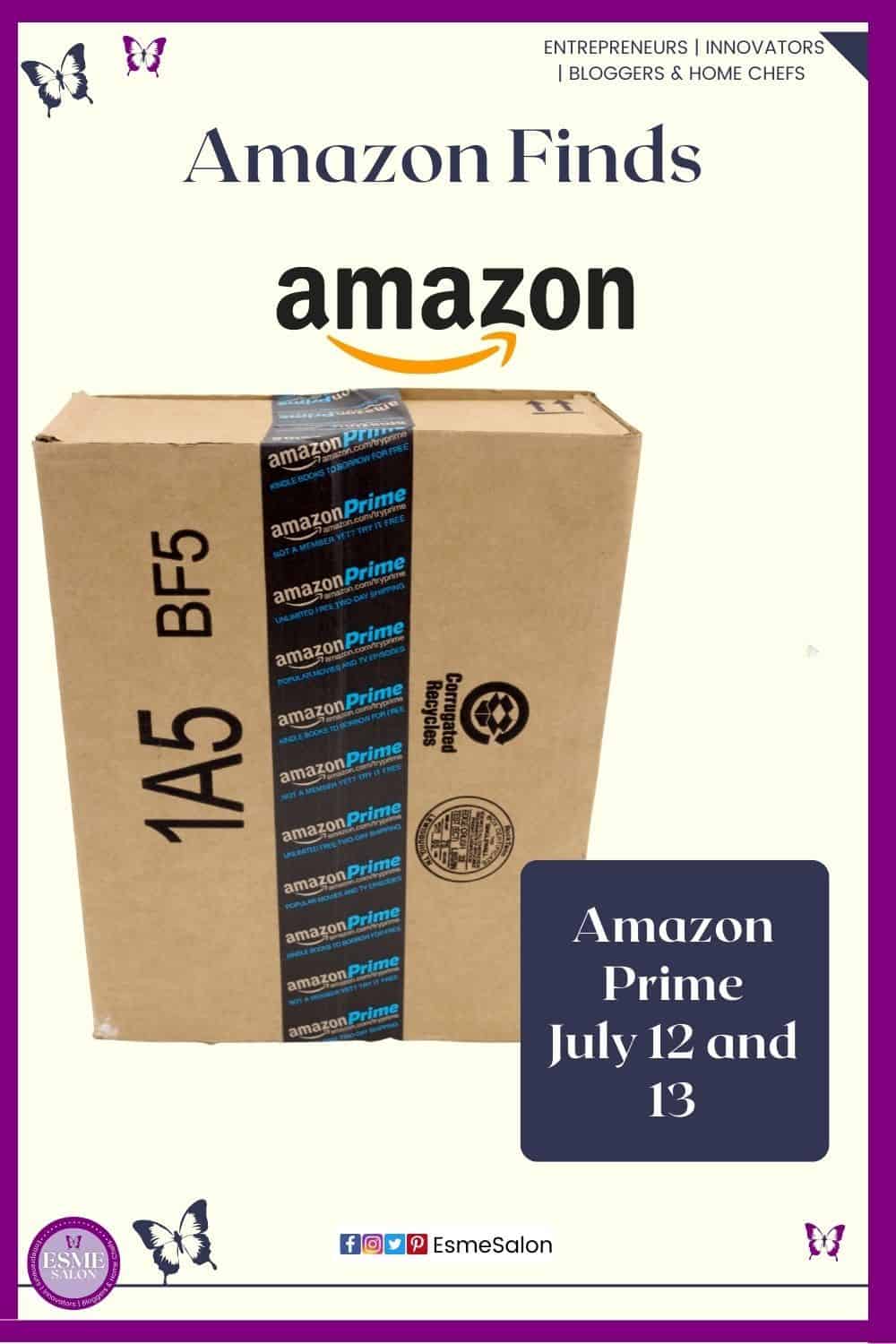 an image of an Amazon bog with the Amazon Prime label over it for Amazon Prime June 12 + 13