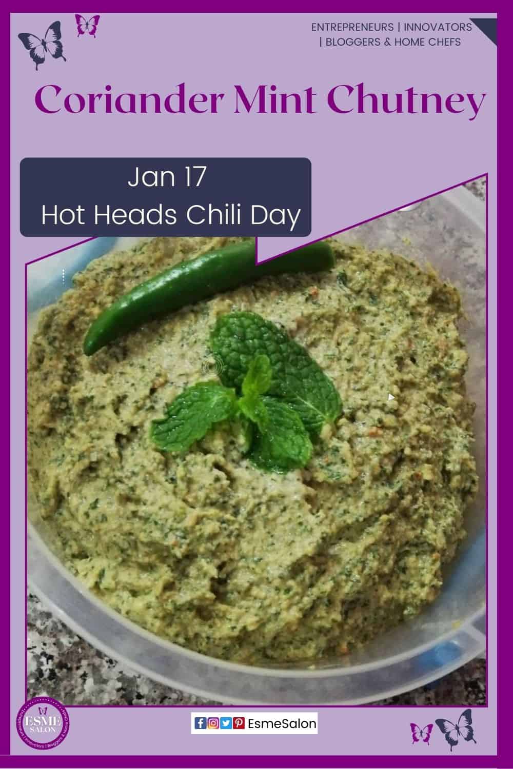 an image of a plastic container filled with Coriander Mint Chutney with a green chili on top