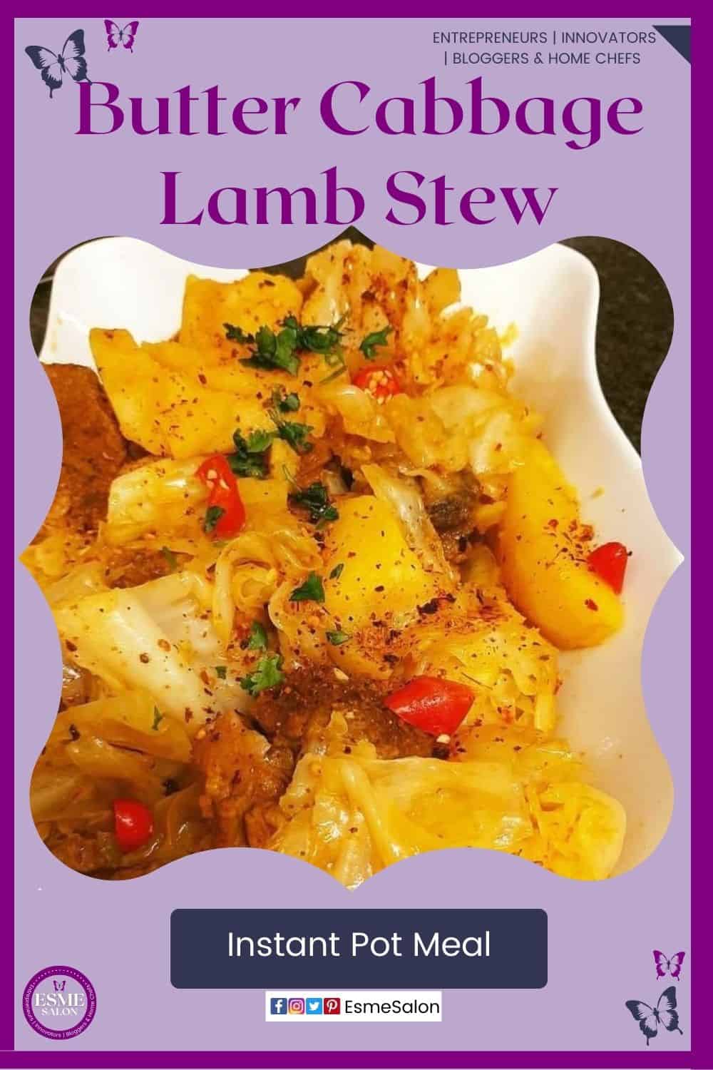 an image of a white plate filled with Butter Cabbage Lamb Stew made in the Instant Pot