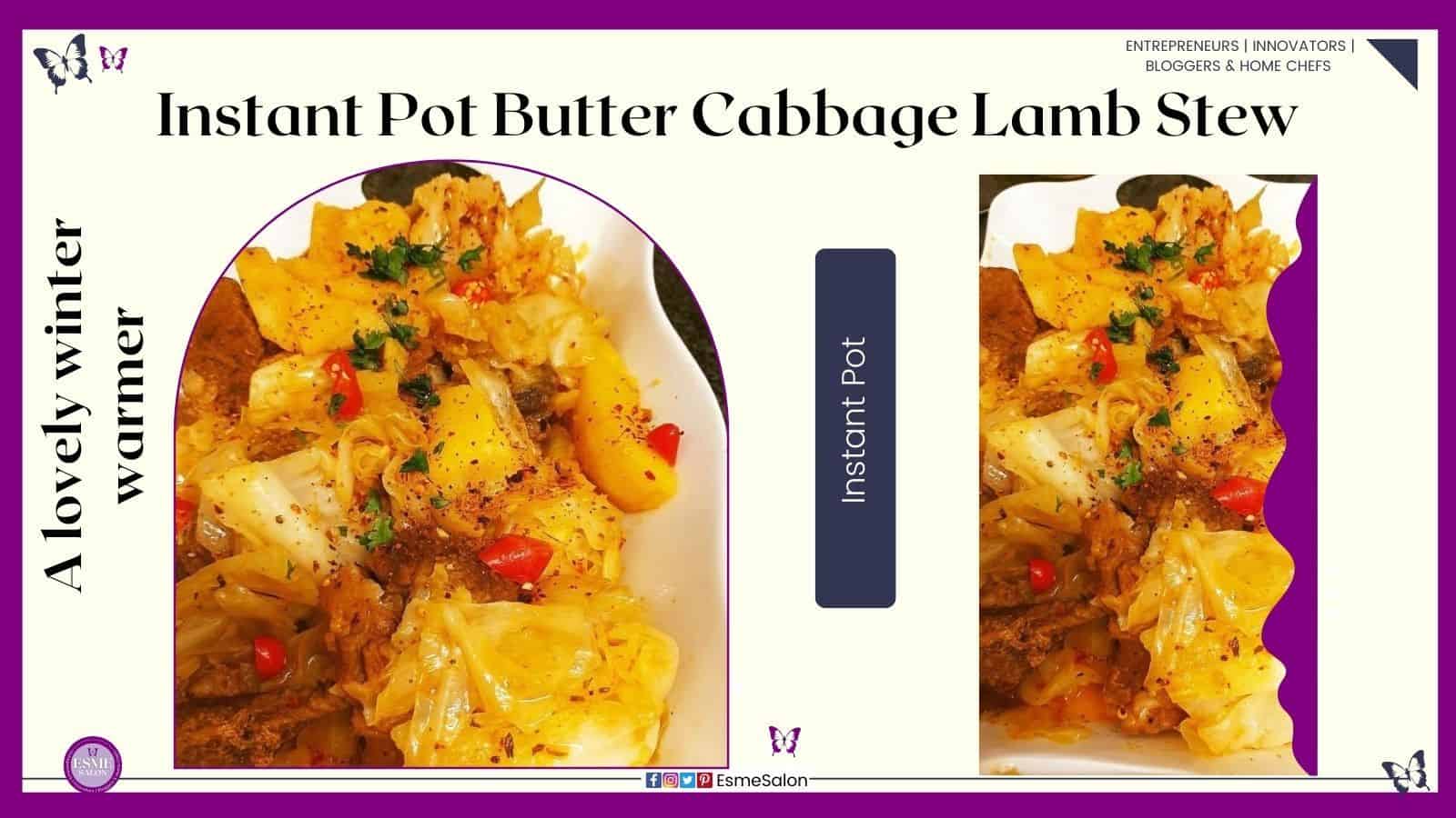 an image of a white plate filled with Butter Cabbage Lamb Stew made in the Instant Pot
