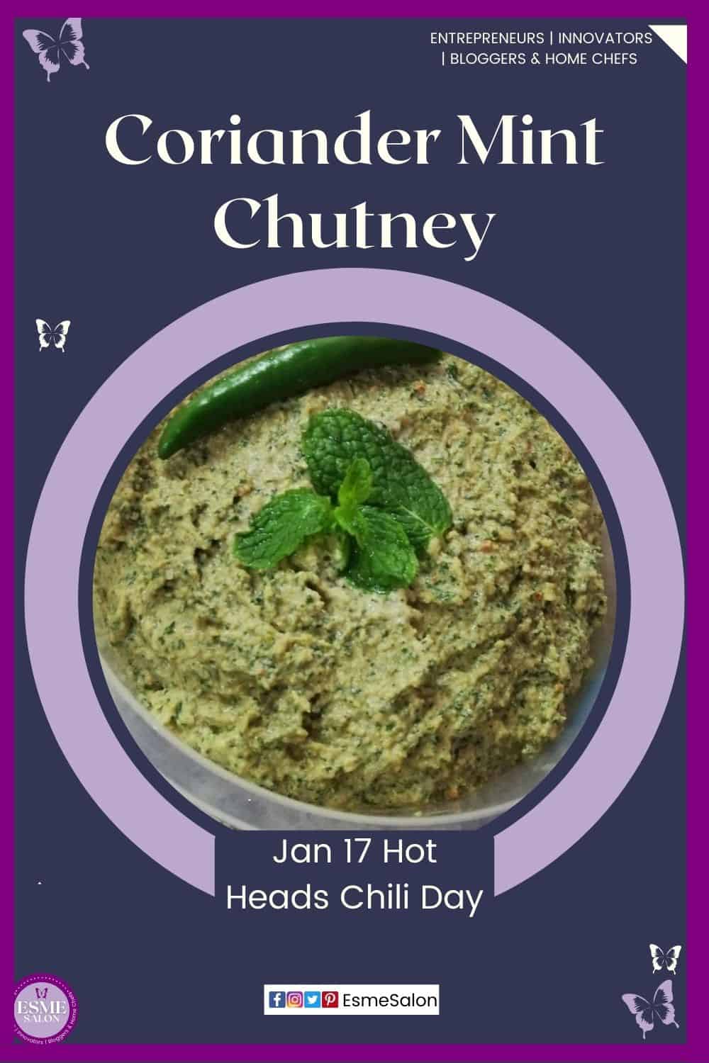 an image of a plastic container filled with Coriander Mint Chutney with a green chili on top