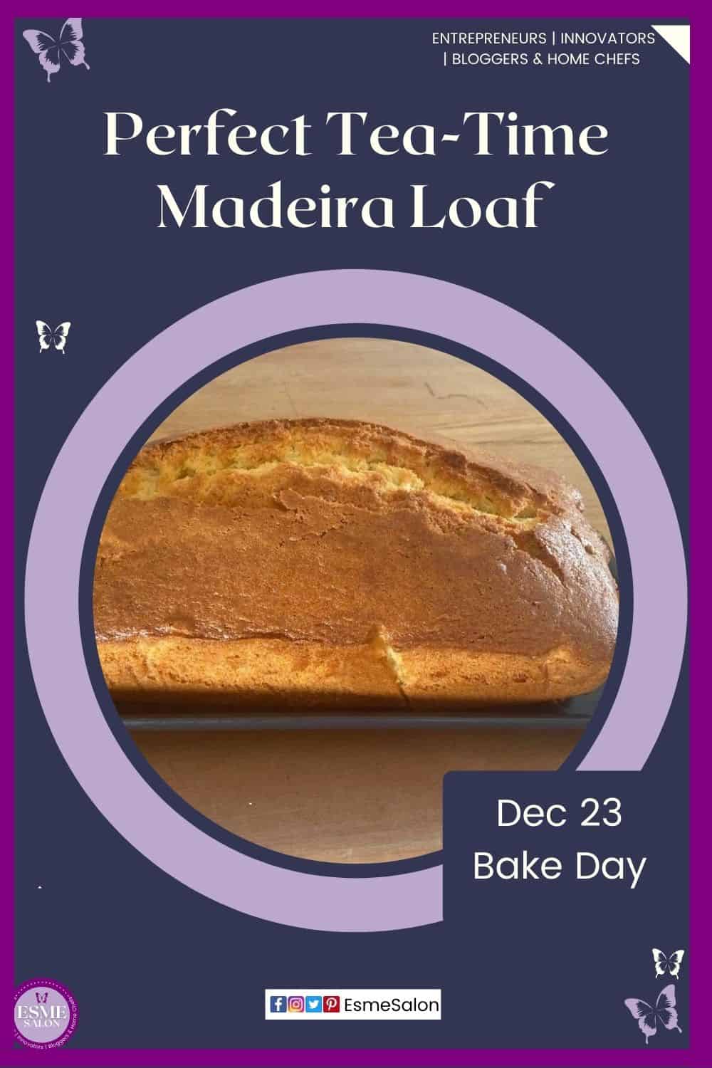 an image of a Tea-Time Madeira Loaf
