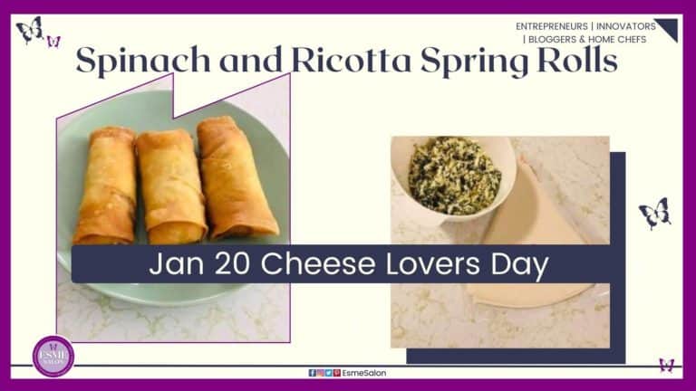 an image of 3 springrolls with a bowl of filling made of spinach and ricotta cheese