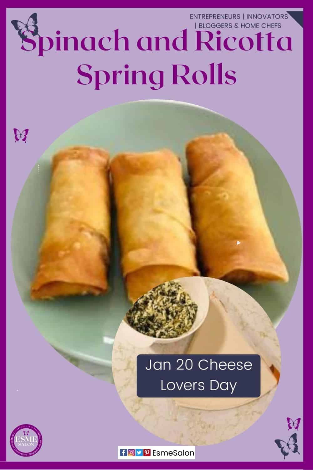 an image of 3 springrolls with a bowl of filling made of spinach and ricotta cheese