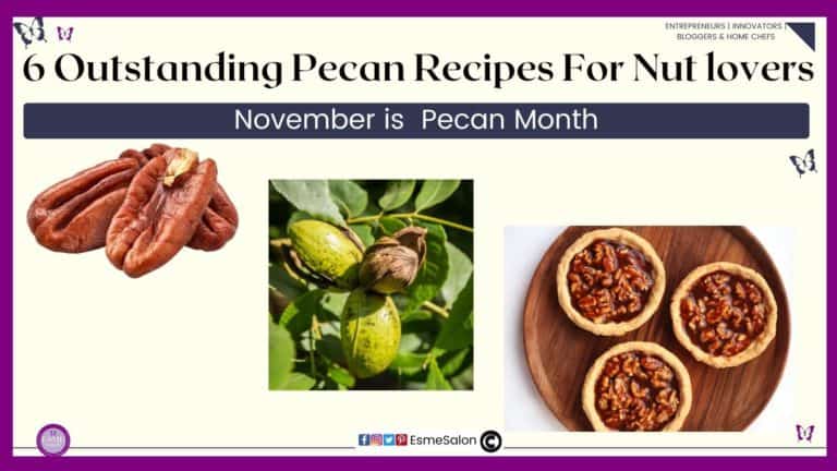 an image of pecan nuts, a tree with pecan nuts and pecan pies