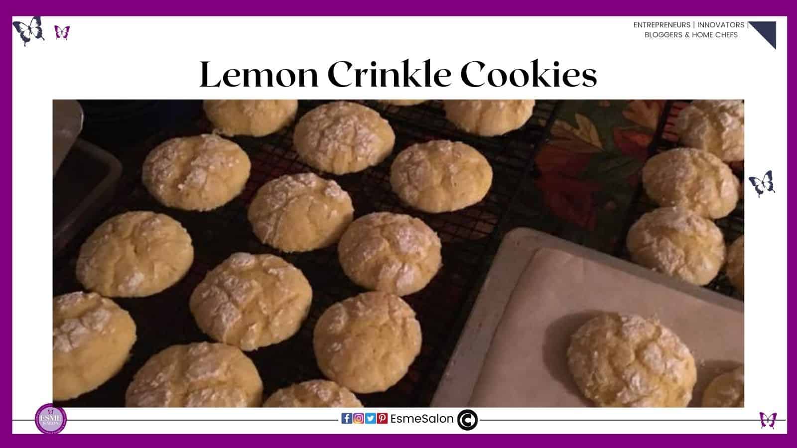 an image of bakedf Lemon Crinkle Cookies dusted with sugar