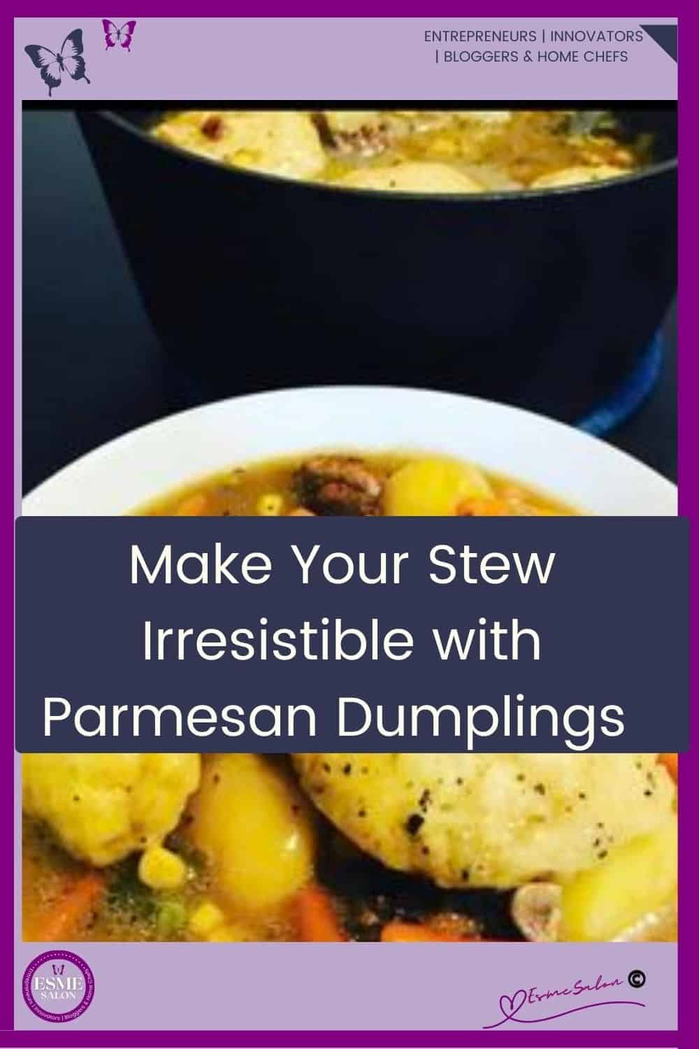 an image of a white soup bowl with Parmesan Dumplings for Stew