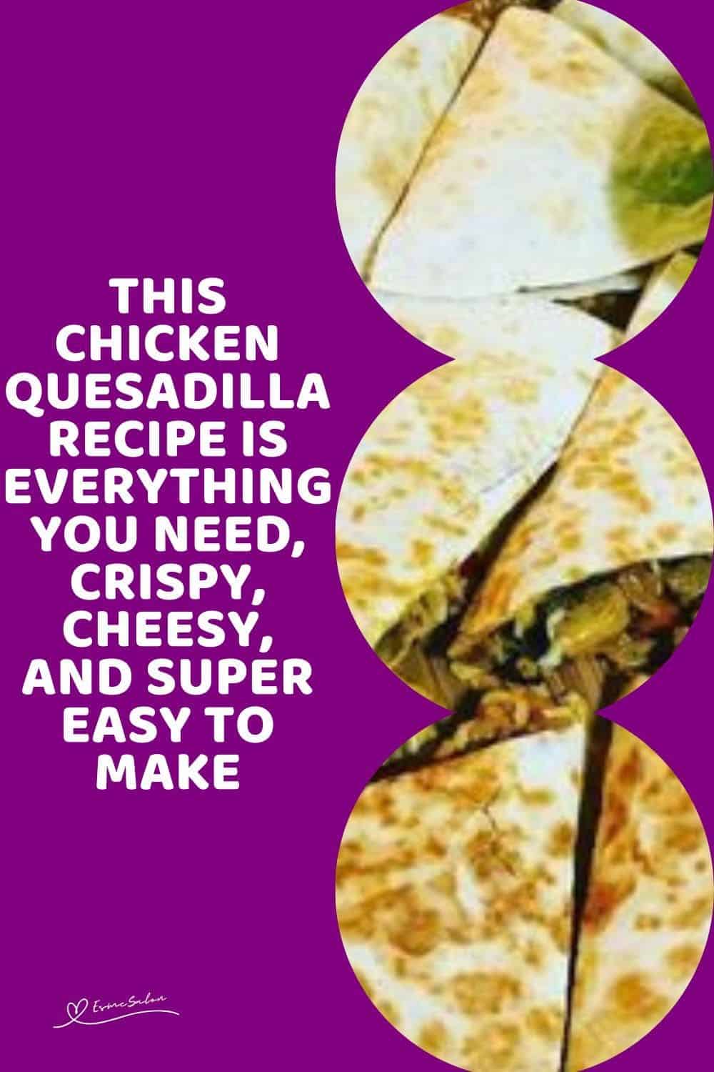 an image of a plate filled with Chicken Quesadilla