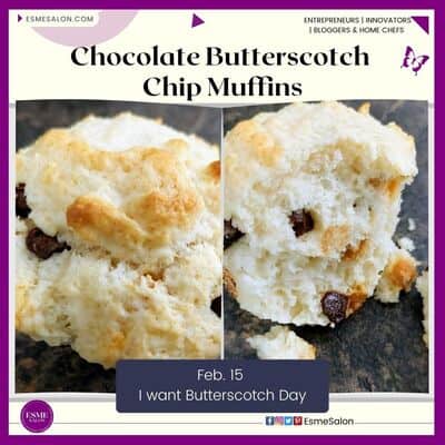 Chocolate Chip Muffin